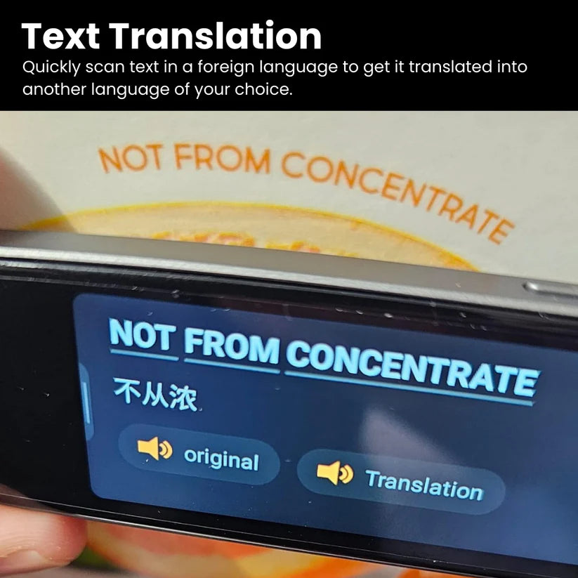 Portable Offline Pen Translator