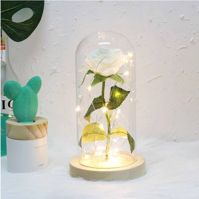 Galaxy Rose Dome Glass Lamp